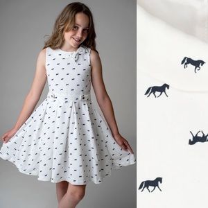 HOPE & HENRY Pleated Horse Print Dress Size 2T